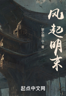 风起明末百度百科