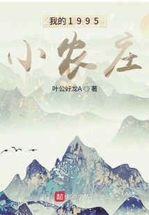我的1995小农庄TXT奇书网