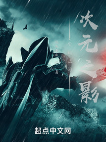 全职法师次元之影小说
