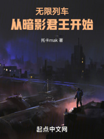 无限列车:从暗影君王开始笔趣阁