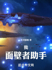 我面壁者助手小说免费阅读