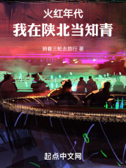 火红年代,我在陕北当知青