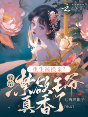 重生嫁给王爷然后成为皇后的小说