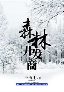 中鹰黑森林开发商