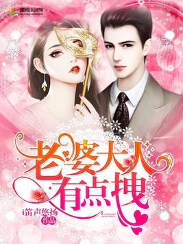 老婆大人有点拽小说