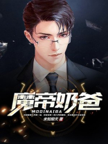 仙界魔帝奶爸