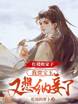 红楼败家子:我贾宝玉,又想纳妾了