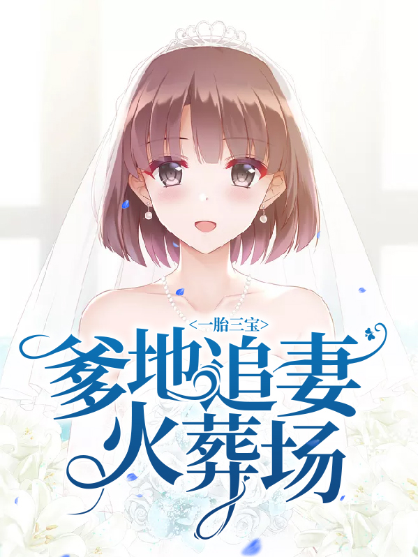 一胎三宝:爹地追妻火葬场