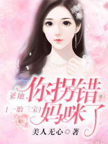 一胎三宝:爹地,你拐错妈咪了!