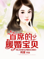 首席的暖婚宝贝免费阅读