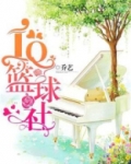 IQ篮球社