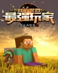 我的世界:最强玩家