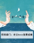 炽焰豪门:老公boss宠妻成瘾