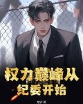 权力巅峰从纪委开始