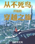 从海贼不死鸟开始的穿越
