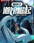 精灵之道馆崛起
