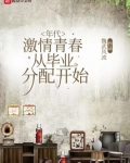 年代:激情青春,从毕业分配开始