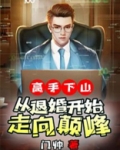 高手下山:从退婚开始走向巅峰