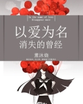 以爱为名消失的曾经