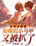 至尊女战神:妈咪的小马甲又被扒了