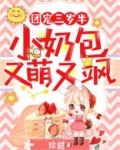 团宠三岁半:小奶包又萌又飒
