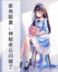 家有甜妻：神秘老公闪婚了