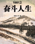 1981之奋斗人生