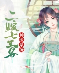 神医系统:二嫁七王爷