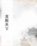 龙图天下