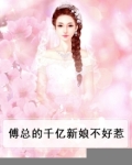傅总的千亿新娘不好惹