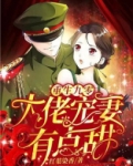 重生九零:大佬宠妻有点甜