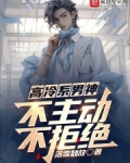 高冷系男神:不主动,不拒绝
