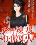 夺心总裁:辣妻狂傲如火