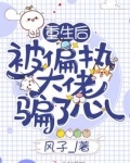重生后被偏执大佬骗了心