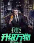 我能升级万物