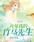 再见我的竹马先生